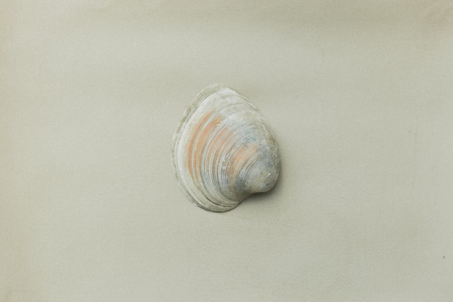 00 Summer Limited Edition - Light on the Far Shore